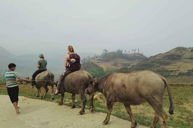 Sapa private: One day of funny Buffalo Ride & Trekking Tour - Ta Phin Village Base and the Suoi Ho Walk: Rice Fields, Views, and a Hidden Village Feel