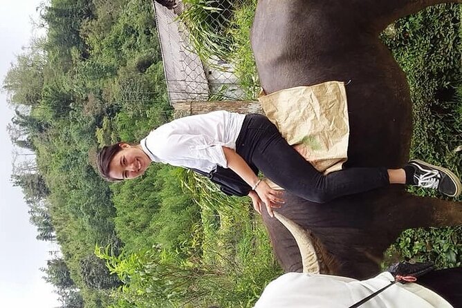 Sapa private: One day of funny Buffalo Ride & Trekking Tour - Xa Xeng Village and the Red Dao Route: Closing the Loop on Community Life
