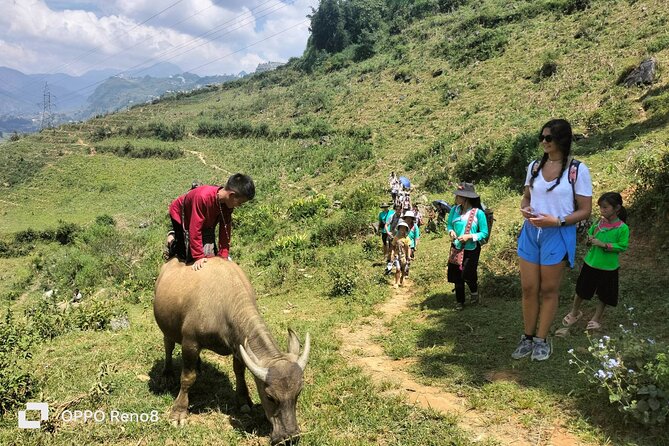Sapa private: One day of funny Buffalo Ride & Trekking Tour - Price and Value for a Private 5-Hour Day in Sapa