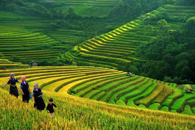 Sapa private tour 2 days 1 night - Food, Hotel, and the Inclusions That Matter