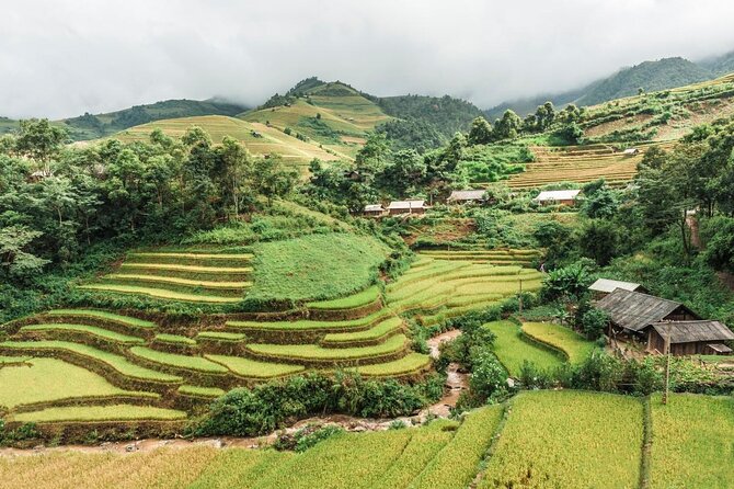 Sapa Private Trekking Through Rice Terraced Fields - 1Day - Key Points at a Glance