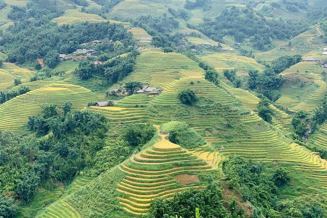 Sapa The Hidden Trail Trek 1 Day - Mountain & Rice Valley - The mountain start: Ham Rong / Dragon Jaw area views