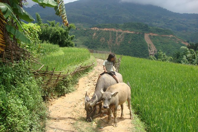 Sapa tours - From Hanoi at 6:30am: Getting to Sapa without stress