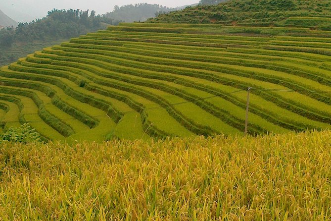 Sapa tours - Cat Cat village and the Cat Cat waterfall: A gentle start with real village life