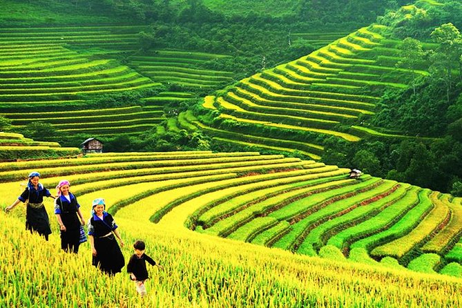 Sapa Tours 2D1N stay At 4 stars hotel nice Sleeping Bus TRANSFER - Hanoi to Sapa by luxury sleeping bus: comfort that matters more than you think