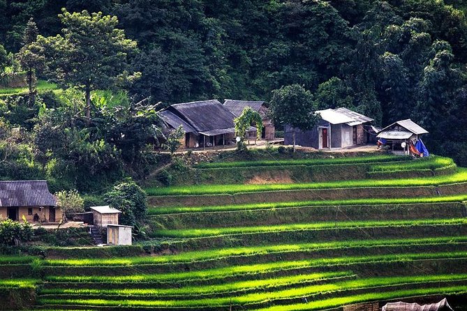 Sapa Tours 2D1N stay At 4 stars hotel nice Sleeping Bus TRANSFER - Day 2: Y Linh Ho, Lao Chai, and Ta Van terraced views and village rhythm