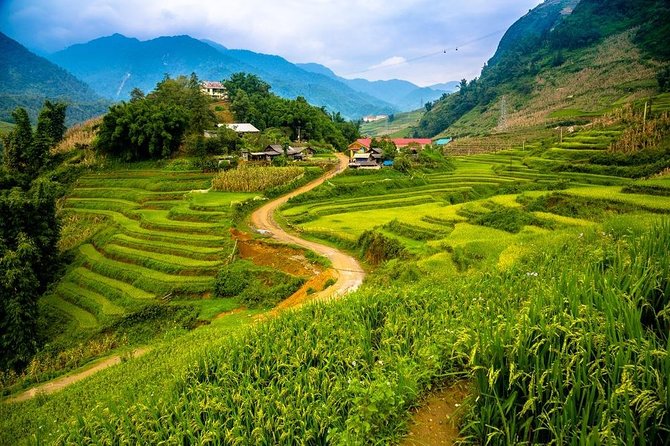 Sapa trekking 2days by bus from Hanoi ( over night in homestay) - Day 1 walk: Lao Chải into Ta Van culture