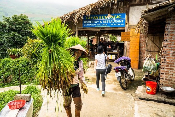 Sapa trekking 2days by bus from Hanoi ( over night in homestay) - Homestay night in Ta Van: the part you remember