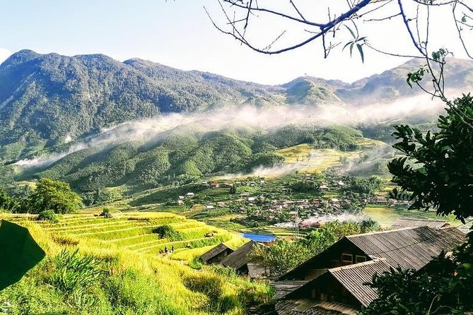 Sapa trekking 2days by bus from Hanoi ( over night in homestay) - Day 2 trek: bamboo forest, rice fields, and a suspension bridge