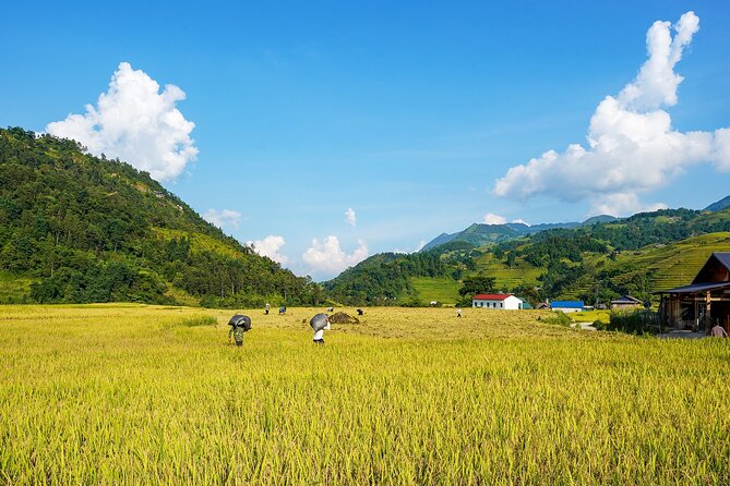 Sapa Trekking 3 Days 2 Nights (Homestay) - Departure From Hanoi - Homestay living in Ta Van and Giang Ta Chai: what you’re really buying