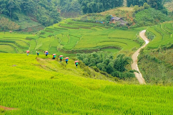 Sapa Trekking 3 Days 2 Nights (Homestay) - Departure From Hanoi - Logistics and pace: when the day feels busy (and when it won’t)