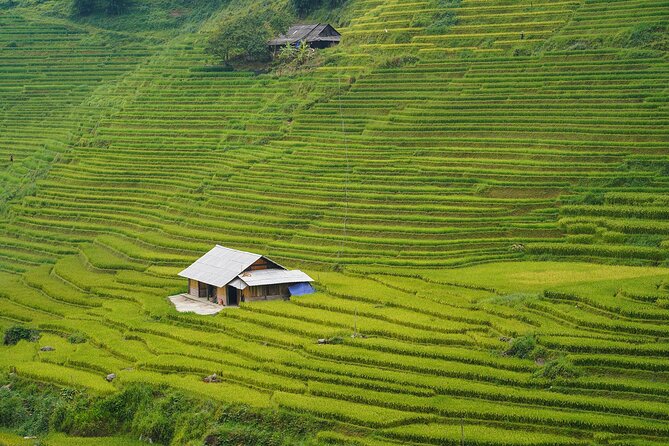 Sapa Trekking 3 Days 2 Nights (Homestay) - Departure From Hanoi - Who should book this trek (and who should skip it)