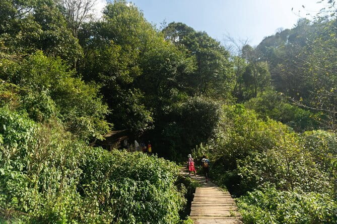 Sapa Trekking & Cooking with H’Mong Locals –Local Culture - Who this Sapa trek-and-cook day suits best