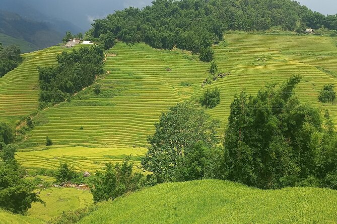Sapa Trekking / Hiking through Sapa Valley with native Hmong - Sapa Church at 8:30: How You Start the Hike