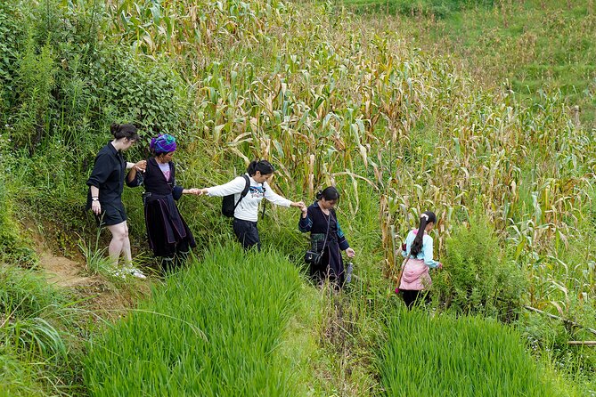 Sapa Trekking & Homestay 2 Days 1 Night - Getting From Hanoi to Sapa: Pickup, Bus Timing, and Comfort
