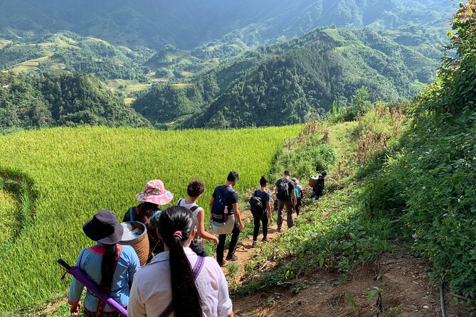 Sapa Trekking Tour 2 Days 1 Night By Bus - Day 1: Hanoi Pickup to Sapa Arrival, Then You Start Walking