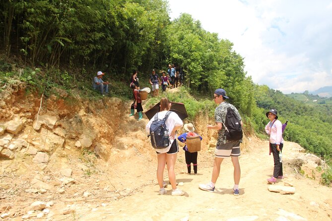Sapa Trekking Tour Full Day - Y Linh Ho Village: a gentle start plus real village context