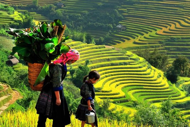 Sapa Trekking Tours - 2 Days 1 Night Stay At Homestay - Key things that make this trek work