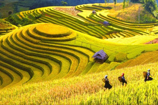 Sapa Trekking Tours - 2 Days 1 Night Stay At Homestay - Why This 2-Day Sapa Trek Starts So Early (and Still Feels Practical)