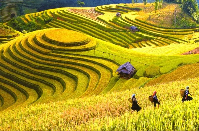 Sapa Trekking Tours - 2 Days 1 Night Stay At Homestay - Day 2: Y Linh Ho, Lao Chai, Ta Van, Then Back to Hanoi