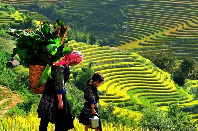 Sapa Trekking Tours - 2 Days 1 Night Stay At Homestay - Homestays in Sapa: What to Expect and How to Prepare