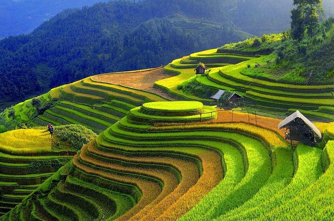 Sapa Trekking Tours - 2 Days 1 Night Stay At Homestay - Trail Conditions and Pace: What You Should Bring