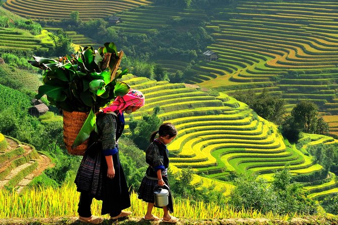 Sapa Trekking Tours - 2 Days 1 Night Stay At Homestay - Price and Logistics: What $109 Buys You (and What It Doesn’t)