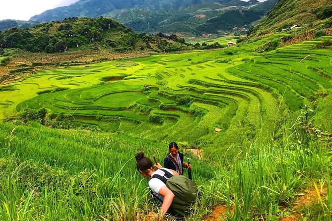 Sapa trekking - Unique Route - 2D1N - Price and Value: Why $116.93 Can Be a Fair Deal