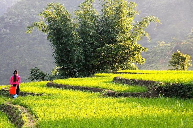 Sapa Valley Trek and Homestay - 3D2N - Starting at Sapa Church: 9:00am, pickup, and a calmer pace
