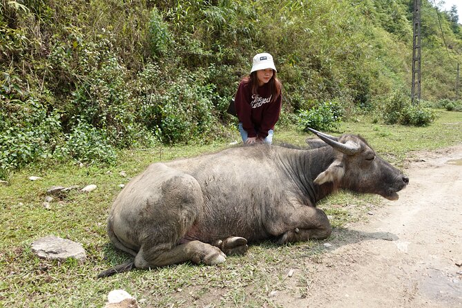 Sapa Valley Trek and Homestay - 3D2N - What you get for your $170: meals, entry fees, homestay, and a real guide