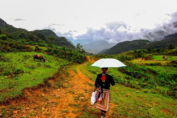 Sapa Valley Trek and Homestay - 3D2N - Food, homestay comfort, and the kind of day you’ll have