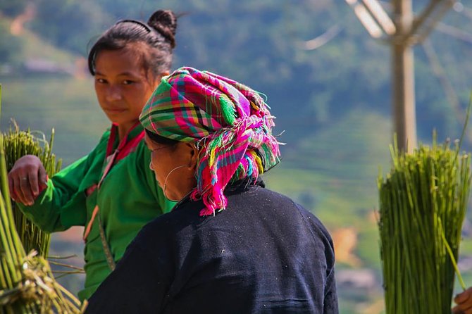 Sapa Valley Trek and Homestay - 3D2N - Day 1: Y Linh Ho downhill start, then Ta Van village homestay welcome