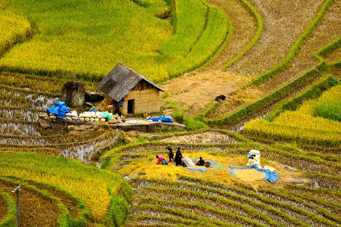 Sapa Villages trekking and homestay 2 Days/ 1 night package tour: best selling - What $70 buys in Sa Pa (and why it feels worth it)