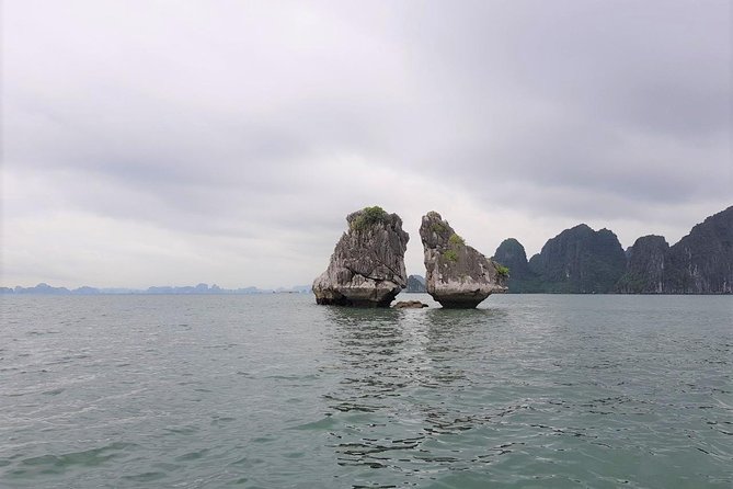 Shore Excursion: Amazing Day Cruise at Ha Long Bay - Lunch on board: set Vietnamese meal, no extra charge