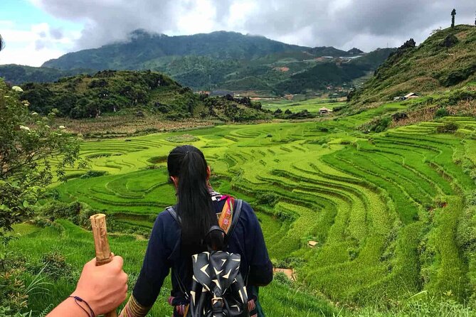 Sleeper Bus Hanoi to Sapa - The Return Trip to Hanoi: 3:30 PM Get-On and a 9:00 PM Drop-Off