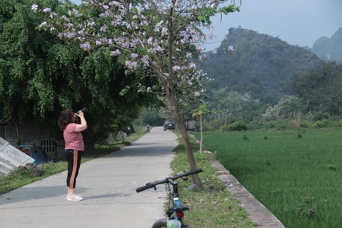 Trang An and Bich Dong Luxury Small Group Tour with Cycling - Price and value: $79 includes the heavy hitters