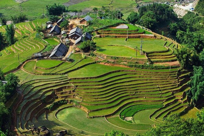 Trek Adventure in Ta Van Village, Lao Chai - Key Highlights You’ll Actually Feel on the Trail