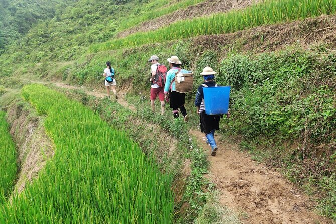 Trek Adventure in Ta Van Village, Lao Chai - Should You Book Trek Adventure in Ta Van Village, Lao Chai?