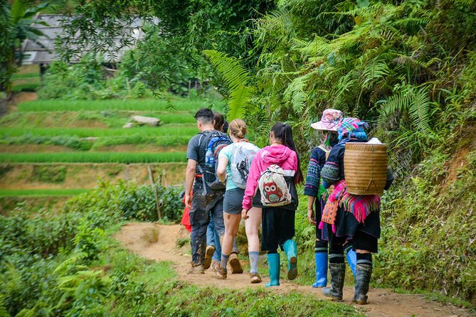 Trekking Through Rice Terraced Fields - 1Day - Stop 2: Lao Chai and Black Hmong life along the terraces