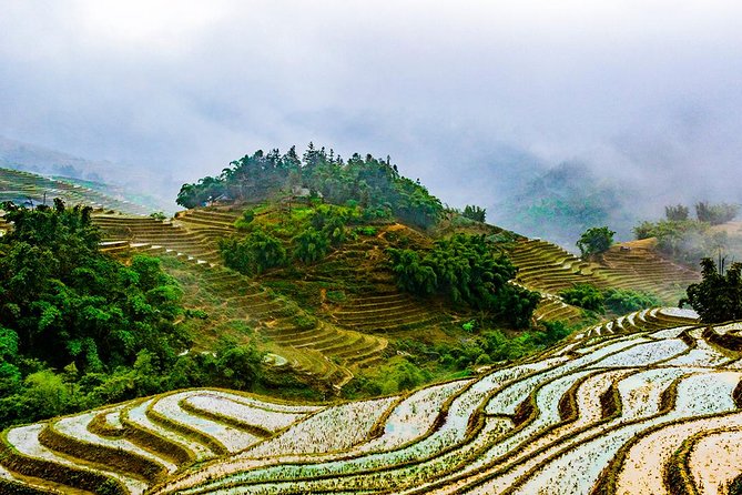 Trekking Through Rice Terraced Fields - 1Day - Lunch in the hills: included local food and what to order in your mind