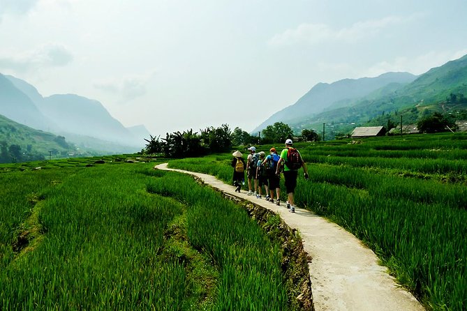Trekking Through Rice Terraced Fields - 1Day - Timing, pickup, and meeting point: when to plan around the trek