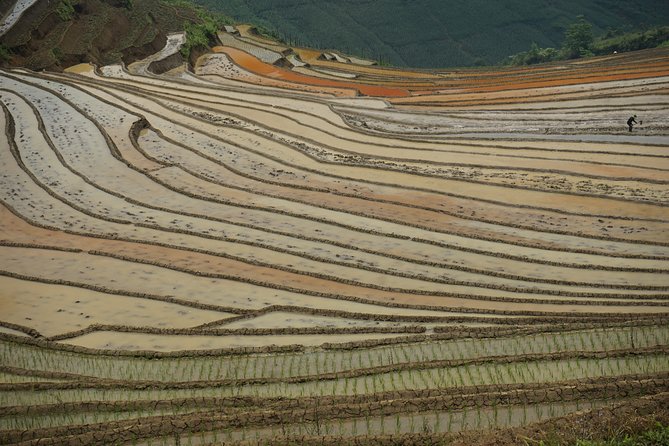 Ultimate Sapa Motorbike Tour: Villages & Waterfalls - Sapa Ancient Stone Gallery: A Break From the Usual Viewpoints