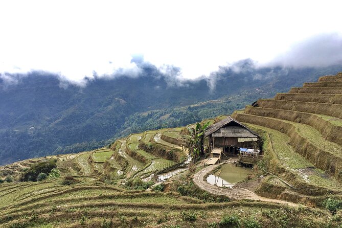 Vietnam Motorbike Tour To Sapa, Mu Cang Chai, Thac Ba-5 Days - Bikes, gear, and the guide team: what changes your comfort level