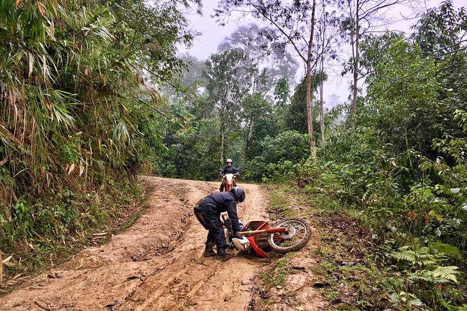 Vietnam Motorbike Tour To Sapa, Mu Cang Chai, Thac Ba-5 Days - Food and evenings: coffee stops, lake lunches, and local-host dinner energy