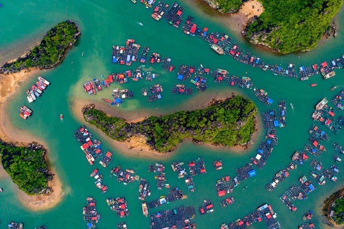Wellness Detox Journey In Vietnam - How an 8-day detox tour actually feels in real life